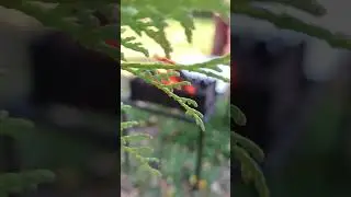 Дача на Волге!!! #дача #дачанаволге #уют #дачамечты