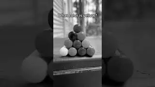 What color is YELLOW?