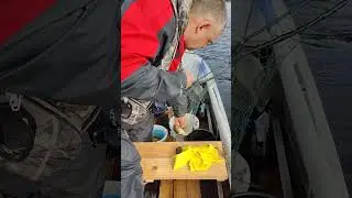 Лёщь, это лёщь🤣 #fishing #рыбалка #рыбаки #top #река #топчик #интересное #дети #лещ #плотва #топ