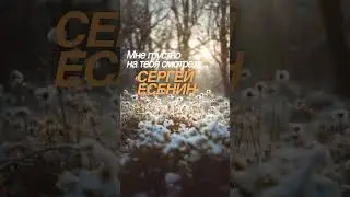 Мне грустно на тебя смотреть... (С. Есенин) - [Ver.2] shorts #есенин #suno #музыка #стихи