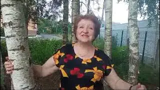 481  Федик Нина   Четыре коня