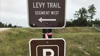 Picayune Nov 7th 2020