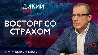 Под лежачий камень виски не течет… Дмитрий Спивак. Дикий LIVE.