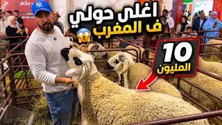 اغلى حولي ف المغرب 😱 10 الميون 😱… معرض الفلاحة 🇲🇦