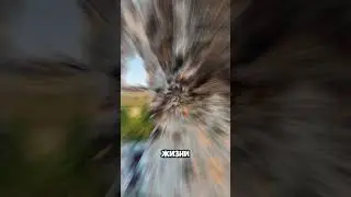 #диагностиканегатива
