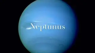 Neptunus