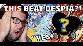 DOMINATING DESPIA WITH BEES?! | Yugioh Replays
