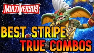 STRIPE 20 TRUE COMBOS + 68 DMG Combo in 2 mins | Multiversus Combo Guide