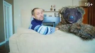 Стрела Сибирский интернет