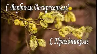 С ВЕРБНЫМ ВОСКРЕСЕНЬЕМ !Красивое поздравление с Вербным Воскресеньем.