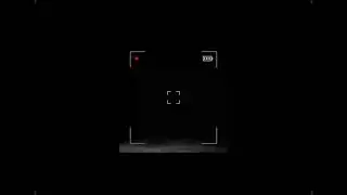 HE SAW THE FACE 