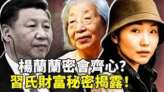 習近平家族澳洲鐵礦石帝國的驚人秘密！红顶商人荣毅仁家族黯然离场！楊蘭蘭三月深圳密会習家老太太齊心
