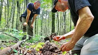 We did better than expected finding relics metal detecting this old place