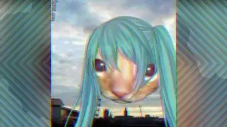 Miku canta 