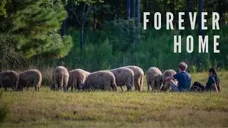 FOREVER HOME - Official Film Trailer!