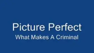 Picture Perfect - What Makes A criminal