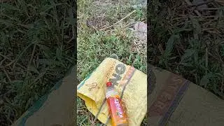 snails video. shorts