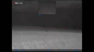 СНОВА ВОЛКИ-РАСПЛАТА ЗА ЛОШАДЬ.