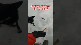 24 марта 2024 г.