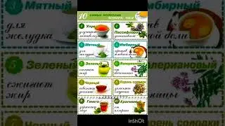 10 самых полезных чашек чая ; )