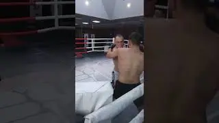 Бои поп мма на - Vershina! #DWT, #mma, #бои,