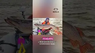 НОВИНКА НА ТРОФЕЙНУЮ ЩУКУ!