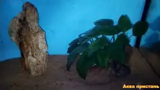 Летом без подмен воды