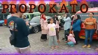 PropokatoR