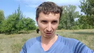Осторожно Бык! Несколько советов обращение с быками.
