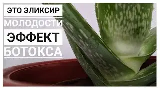 Супер Бомба Шок МАСКА для лица с эффектом Ботокса ЛИФТИНГ Лица
