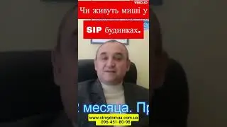 Чи живуть миші у SIP будинках