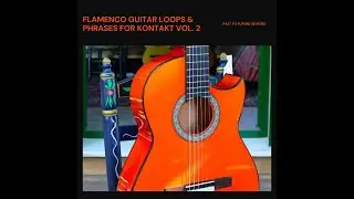 Flamenco Guitar Loops And Phrases Vol. 2 For KONTAKT! Demo