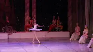 Балет "Щелкунчик" Вариации.
