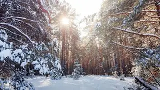 Зима 2021