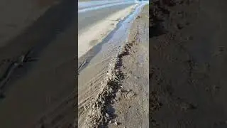 Ручей возле дома))))
