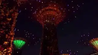 Gardens by the Bay - light show, 26 Aug 2018