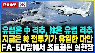 유럽은 中 격추, 韓은 유럽 격추..! 지금은 韓 전투기가 유일한 대안 FA-50앞에서 초토화된 실제 현장