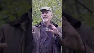 Creating a Forest Garden  #gardening #wildlife #shorts #fyp #offgrid #offgridliving