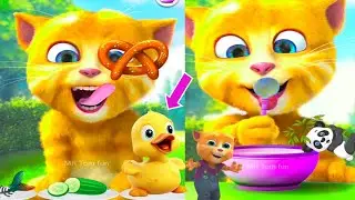 talking ginger funny videos |🙀