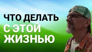 Что же делать со своей жизнью или чему нигде не учат.