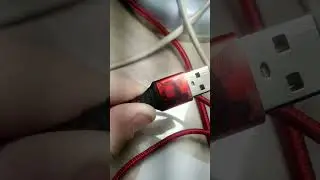24 ноября 2023 г.
