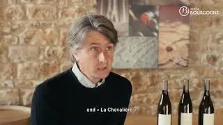 The Vézelay appellation seen by Matthieu Woillez