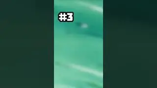 Top 5 Strongest Characters in the Namek Saga! 