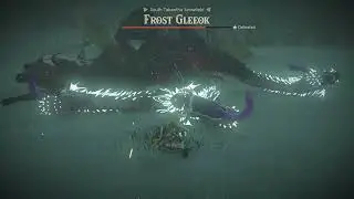 Link's Nightmare Fuel For Gleeok's