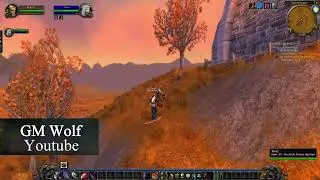 Endlose Wut Rune | Endless Rage Rune | Mensch Krieger Rune | WoW Season of Discovery