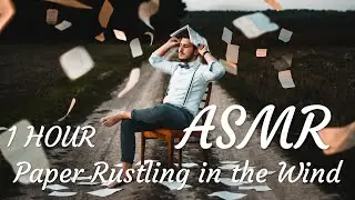 ASMR|No Talking•1 Hour Paper Rustling in the Wind | White Noise for Relaxing，Sleeping，Studying