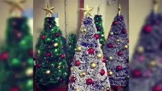 DIY Christmas Tree: Step-by-Step Instructions