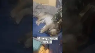 Минус спешит на помощь, во сне