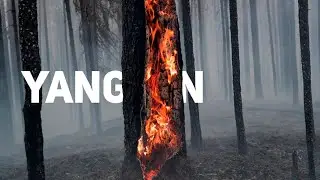 Yangın