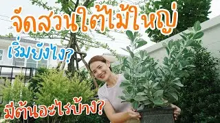 จัดสวนเอง บ้านสวยน่ามอง ปลูกไม้ใต้ต้นประธาน | อยู่กับบ้าน EP.5